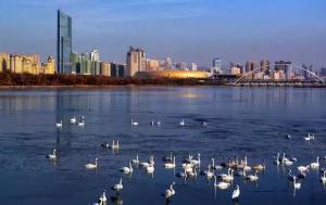 三門峽又一網(wǎng)紅景點(diǎn)，確定不來pick一下？