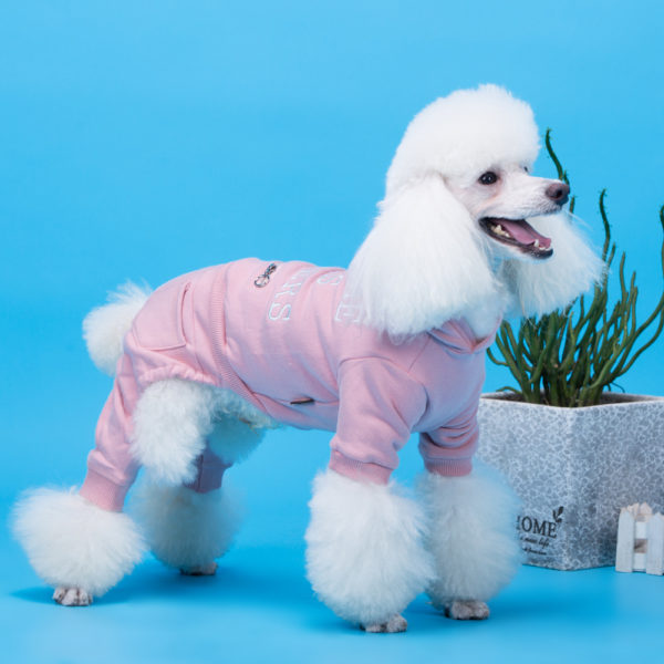 2020 New Year Pet Dog Clothes Cotton Winter for French Bulldog Dachshund Corgi Bichon Chihuahua Teddy Dog Fashion Clothing