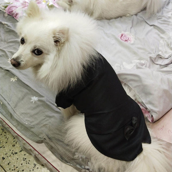 Boy Tuxedo Pet Cat Dog Coat Jacket Clothes Bow Tie Small Dog Clothes Kitten Wedding Chihuahua Dress Black Pet Party Clothing