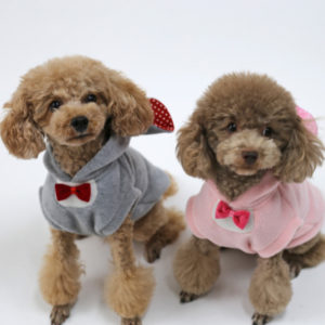 Cute Dog Hoodie Winter Dog Clothes Cat Clothing Puppy Small Dog Costume Yorkie Coat Yorkshire Poodle Pomeranian Pet Outfit XS