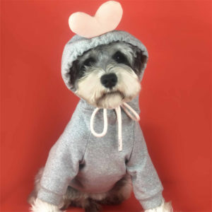 Cute Heart Dog Hoodie Winter Pet Dog Clothes Frenchie Clothing Poodle Bichon Pomeranian Schnauzer Pug French Bulldog Pet Outfit