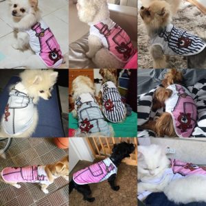 Cute Soft Dog Clothes for Small Dogs Summer Dog Clothing Coat Vest Puppy Clothes Pet Dog Coat Yorkies Chihuahua Hoodies XS 2018