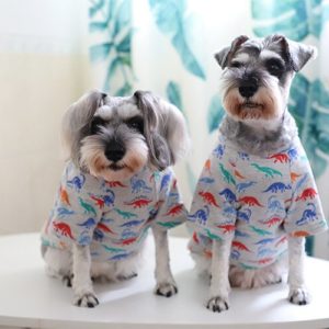 D. M Winter Popular Brand Cartoon Dinosaur Printed Looped Pile T-shirt Teddy Bucket Schnauzer Small Dogs Pet Dog Dog Clothes