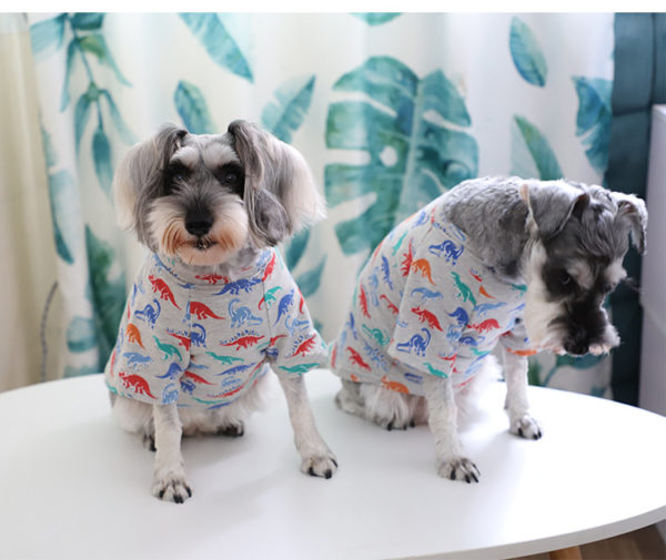 D. M Winter Popular Brand Cartoon Dinosaur Printed Looped Pile T-shirt Teddy Bucket Schnauzer Small Dogs Pet Dog Dog Clothes