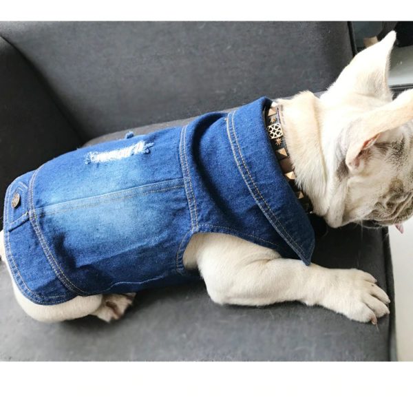 Diy Jean Small Dog Clothes For French Bulldog Jacket For Dogs Clothing Costumes For Pet Puppy Clothes Winter Pets Acessories