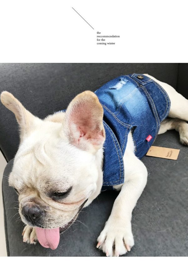 Diy Jean Small Dog Clothes For French Bulldog Jacket For Dogs Clothing Costumes For Pet Puppy Clothes Winter Pets Acessories