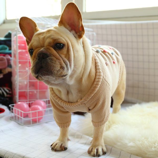Dog Clothes Autumn & Winter Days-Warm French Bulldog English Bucket Corgi Sweater Feet Casual Comfortable Law Bucket Pet