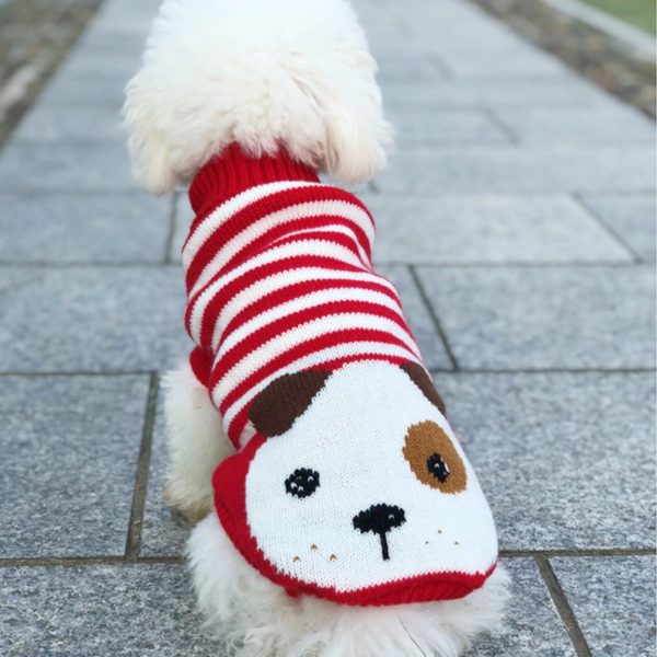 Dog Clothes for Small Dog Coats Jacket Winter Pet Dogs Cats Clothing Chihuahua Cartoon Pet Clothing Kawaii Dog Costume Clothes 3
