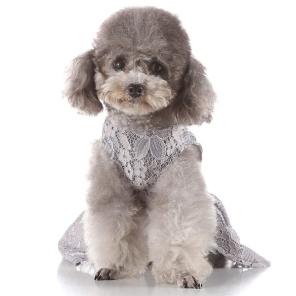 Elegant Pet Spring And Summer Fine Print Dress Dog Costumes Pet Dog Clothes Bulldog Clothing Dog Clothing Falda de mascota419