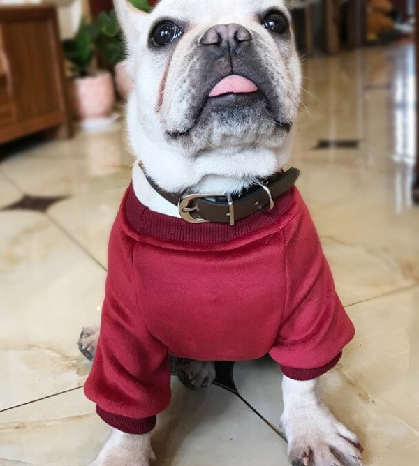 Fashion Luxury Warm Pet Dog Coat Winter Warm Dog Clothes Soft Fleece Puppy Jacket With Hoodie S-3XL