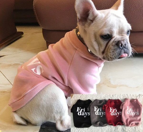 Fashion Luxury Warm Pet Dog Coat Winter Warm Dog Clothes Soft Fleece Puppy Jacket With Hoodie S-3XL