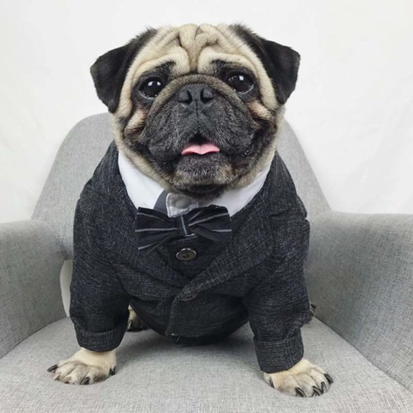 Formal Dog Clothes French Bulldog Pets Dogs Clothing For Medium Large Dog Costume Pet Wedding Clothes For Dogs Outfit Ropa Perro