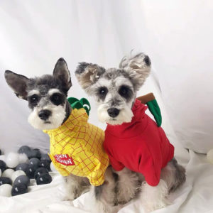 Funny Fruit Puppy Costume Pet Dog Clothes for Small Dogs Chihuahua Pug Cute Hoodies French Bulldog Apple Pineapple Apparel ZZC02