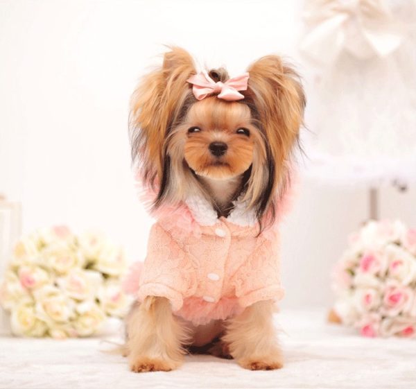 Girl Dog Clothes Winter Female Dog Coat Pink Cute Lace Fleece Lined Warm Dog Jacket Chihuahua Yorkshire Winter Dog Clothes XS-XL
