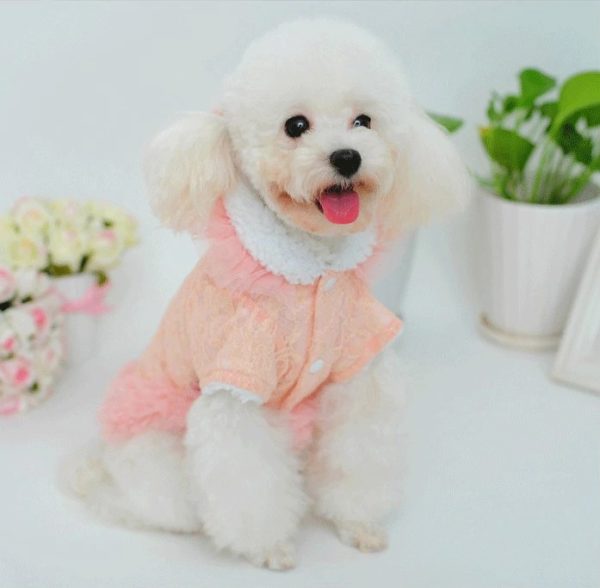 Girl Dog Clothes Winter Female Dog Coat Pink Cute Lace Fleece Lined Warm Dog Jacket Chihuahua Yorkshire Winter Dog Clothes XS-XL