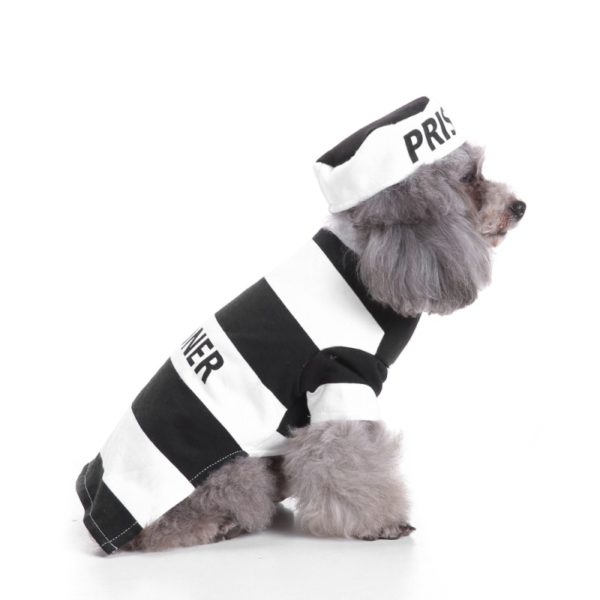 Halloween Dogs Clothes Set With Hat White and Black Striped Letter Print Jackets California Costume Coats Pets Dog Costume