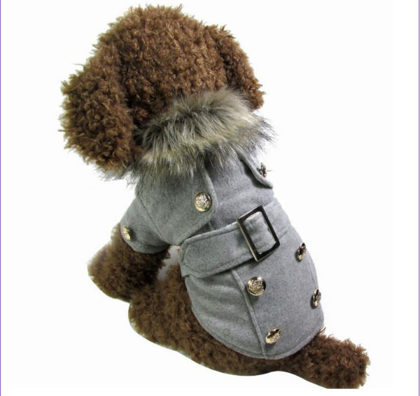 High Quality warm Dog Clothes Pet Dog Woolen Coat cute dog coat jacket dog autumn and winter jacket 3color S M L XL Size choose