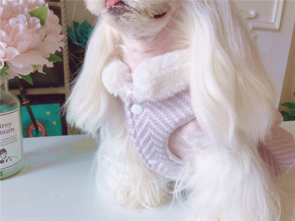Luxury Dog Clothes Pet Dress For Lady Pearl Flower Decor Tutu Dress For Princess Soft Fur Collar Puppy Cat Coat Skirt For Pug 38