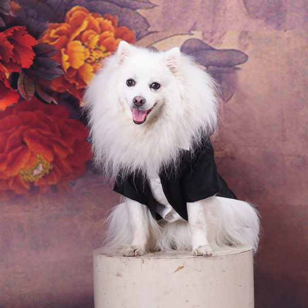 Male Dog Clothes Boy Dog Suit Tuxedo Coat Jacket Puppy Pet Wedding Dress Small Dog Chihuahua Costume Black Pet Party Apparel