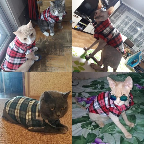 Pet Cat Clothes For Small Cats SpringSummer Fashion Cat Plaid Shirt Pets Clothing Puppy Dog Shirts Vest Clothes Kitten Outfits