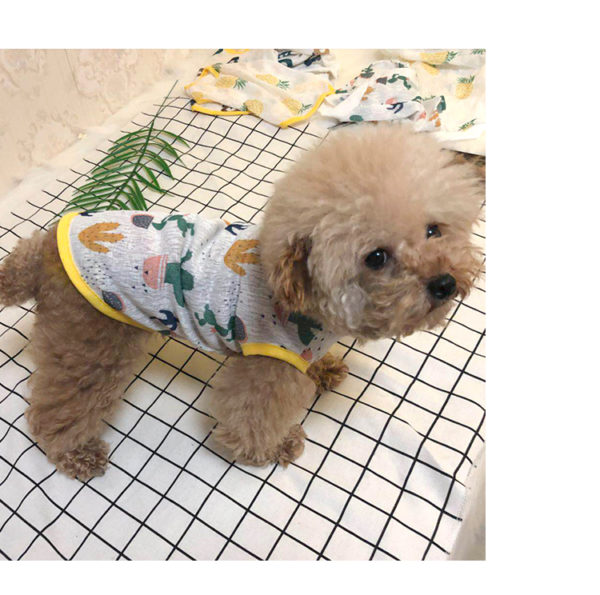 Pet Dog Clothes For Small Dogs Summer Clothes Chihuahua Puppy Clothing Shirt Winter Warm Vest Printed Ropa Para Perros