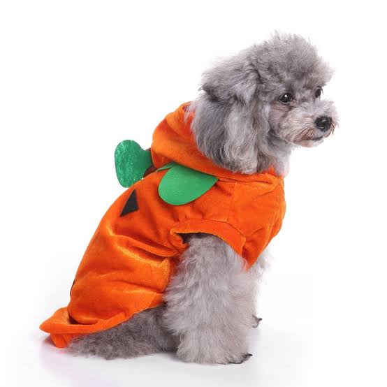 Pet Dog Clothes Lovely Halloween Style Hoodie Dog Coats Pumpkin Jackets Clothing Dog Costume Coat for Pet Puppy