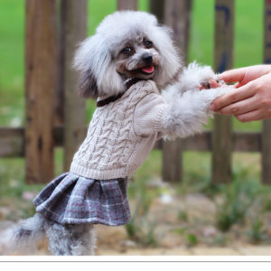 Pet Dog Clothes Lovely Puppy Jumpsuits Clothing for Small Dog Dress Teddy Than Bear Bomei Autumn Winter Cute Sweater NN50YF