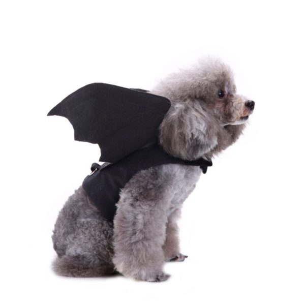 Pet Green Funny Halloween Coat Costume for Small Medium Dogs Puppy Winter Jackets Clothes