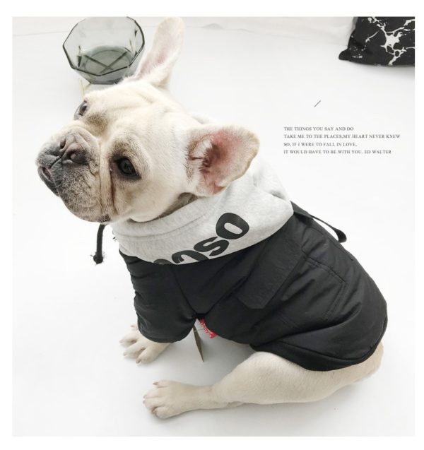 SUPREPET Pet Dog Jacket Winter Dog Clothes for French Bulldog Warm Cotton Dog Winter Coat Hoodie for Chihuahua ropa para perro