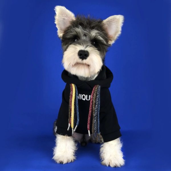 Small Dog Winter Clothes Pet Jacket Hoodies Outfit Coat Fleece Inside Poodle Bulldog Yorkshire Fashion Designer Pet Dog Clothes