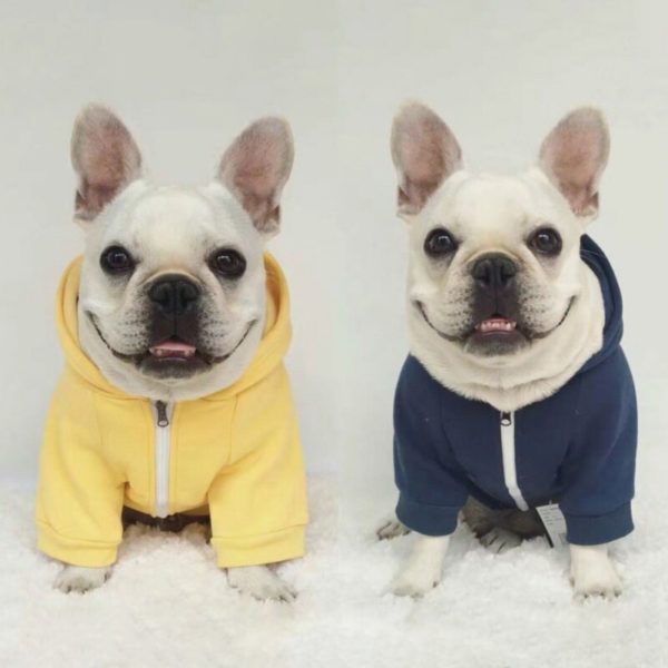 Solid Color pet coat dog hoodie sweater Zipper Coat Pet Dog Clothes Hooded Soft Cotton Dog Clothing pet products supplies