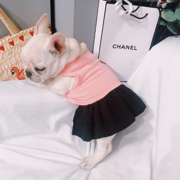 Spring And Summer Pet Clothes Cat Dog Clothes Small Dog Clothes Ultra-Thin Cotton Flare Skirt Cute Pet Skirt