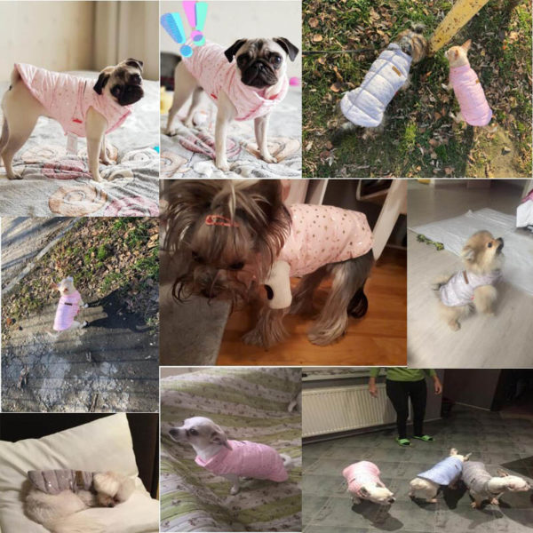 Waterproof Pet Dog Clothes Coat For Small Puppy Dog Vest Jacket Warm Winter Overalls Clothing for Pet Dogs Products ropa perro20